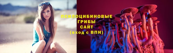 PSILOCYBIN Армянск