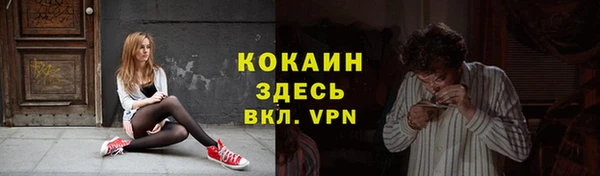 индика Баксан
