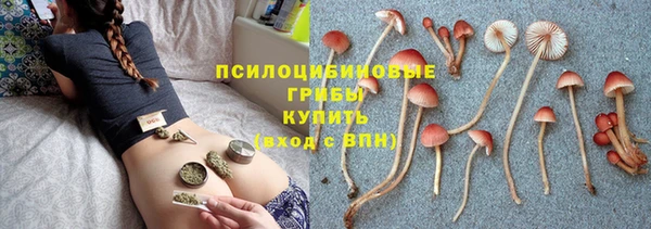 ПСИЛОЦИБИНОВЫЕ ГРИБЫ Аркадак