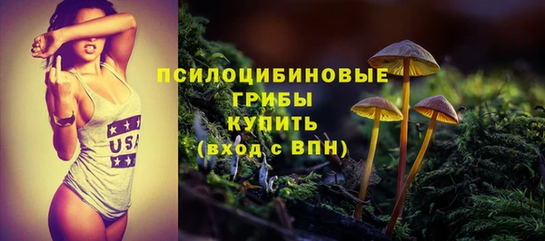 PSILOCYBIN Армянск