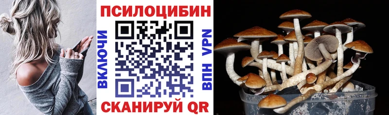 Псилоцибиновые грибы Psilocybine cubensis  как найти закладки  Луга 