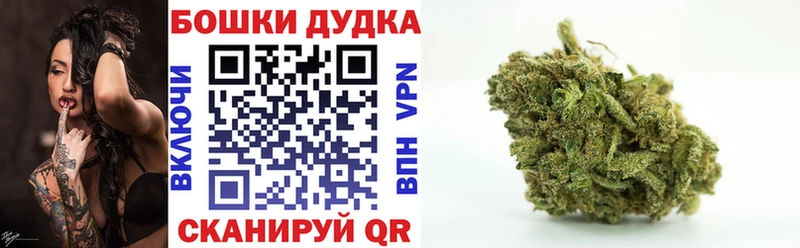 Бошки марихуана OG Kush  Луга 